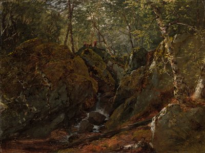 Catskill-Wasserfall von John Frederick Kensett
