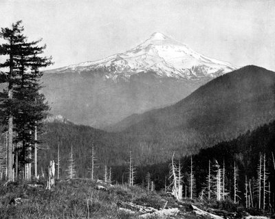 Mount Hood, Oregon, USA, 1893 von John L. Stoddard