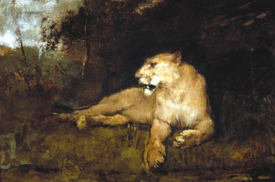 Eine Löwin von John Macallan Swan