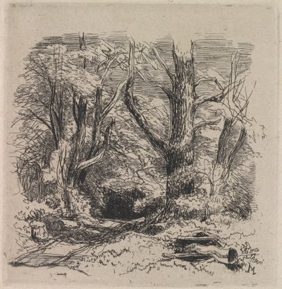 Ein Pfad durch den Wald von John Middleton