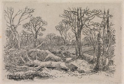Gefälltes Holz, Burningham von John Middleton