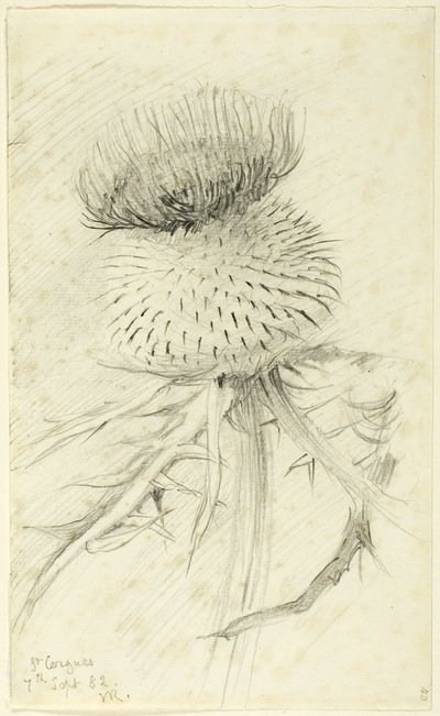 St. Cergues von John Ruskin