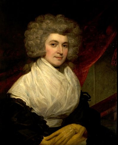 Porträt einer Dame von John Westbrooke Chandler