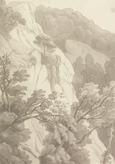 Canonteign von John White Abbott