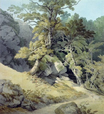 Canonteign, Devon von John White Abbott