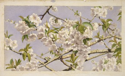 Apfelblüten, ca. 1874 von John William Hill