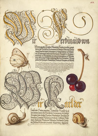 Schmetterling, Süßkirsche und Landschnecken von Joris Hoefnagel
