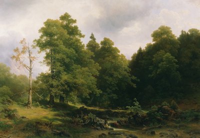 Der stille Waldwinkel von Josef Holzer