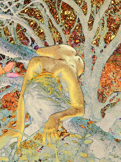 Baum von Joseph Angilella Auquier