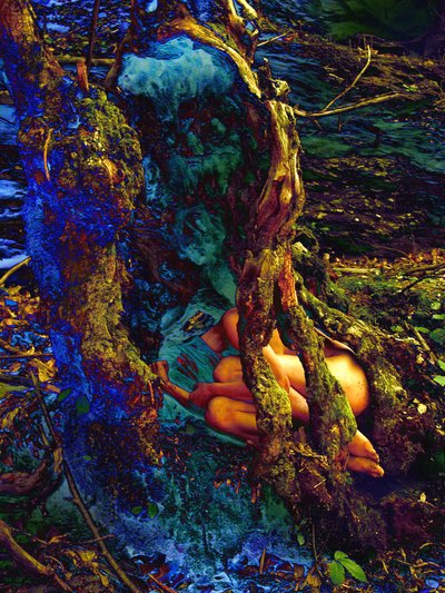 Im Baum von Joseph Angilella Auquier