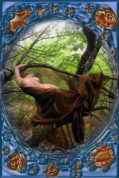 Im Wald von Joseph Angilella Auquier