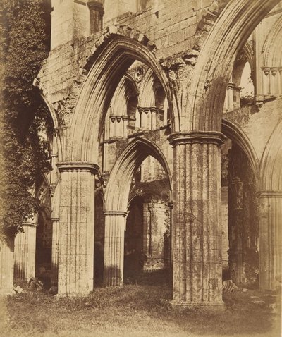 Rievaulx Abbey. Blick über den Chor von Joseph Cundall