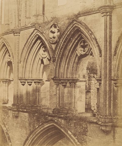 Rivaulx Abbey. Die Triforium-Bögen von Joseph Cundall