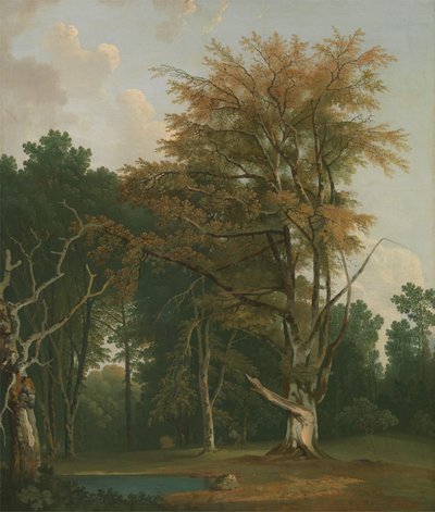Bäume in einer Waldlichtung von Joseph Farington