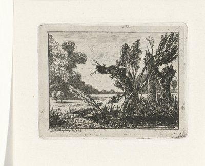 Kopfweiden von Joseph Hartogensis