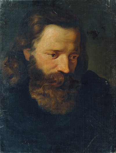 Studienkopf eines bärtigen Mannes I von Joseph Hasslwander