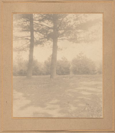 Landschaft mit Bäumen von Joseph T. Keiley