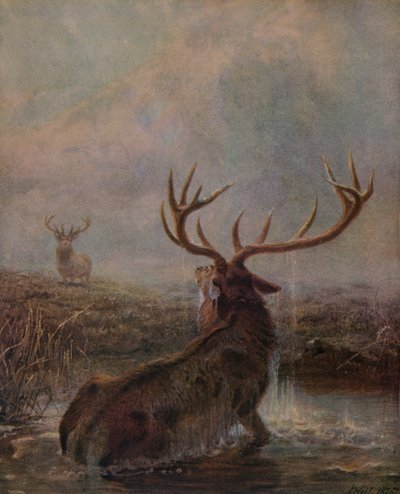 Unterbrochen, 1875, 1938 von Joseph Wolf
