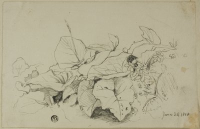 Büschel von Blättern und Blumen von Joshua Cristall