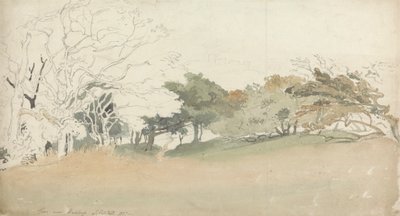 Bäume in der Nähe von Hastings von Joshua Cristall