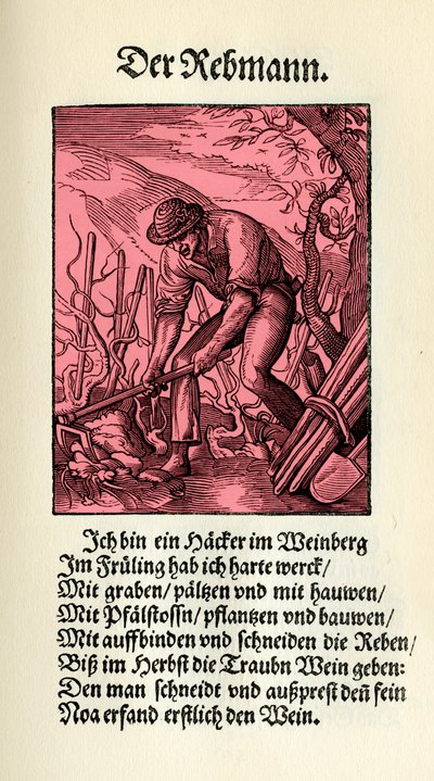 Der Winzer von Jost (after) Amman