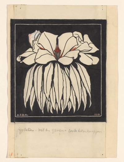 Godetia von Julie de Graag (signed by artist)
