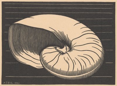 Muschel von Julie de Graag (signed by artist)