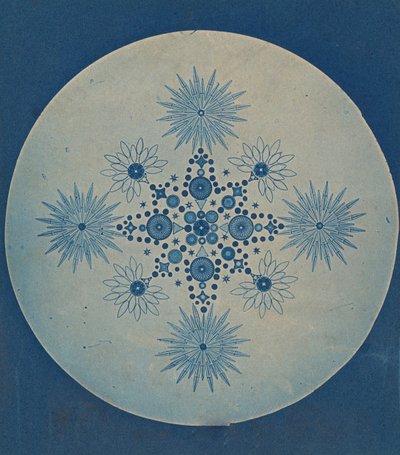 [Frusteln von Diatomeen], ca. 1870 von Julius Wiesner.