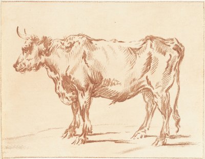 Stehender Ochse von Jurriaan Cootwijck