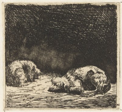 Schlafender Hund und Katze von Karel Du Jardin
