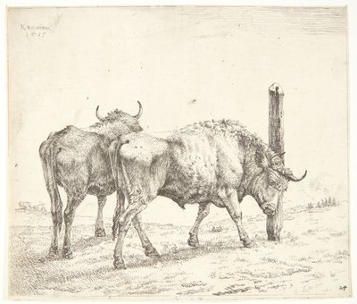 Die zwei Ochsen von Karel Du Jardin