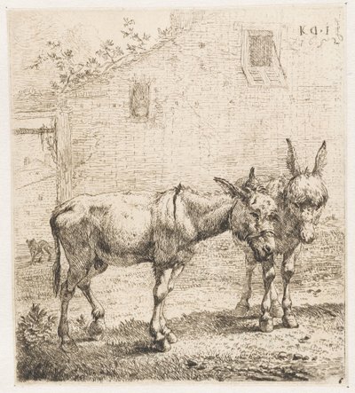 Zwei Esel von Karel Du Jardin