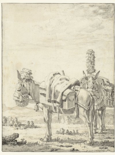 Zwei Maultiere von Karel Du Jardin