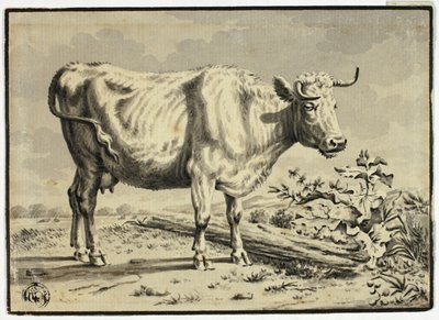 Kuh von Karel Dujardin