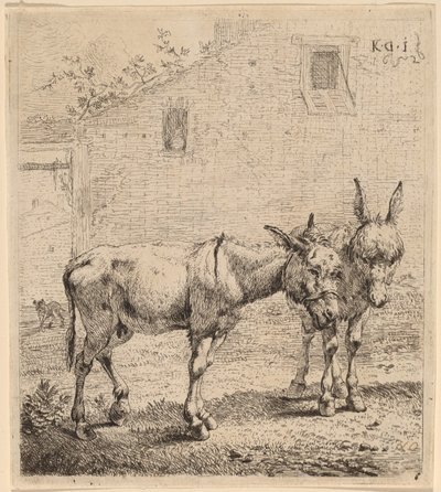 Zwei Esel von Karel Dujardin