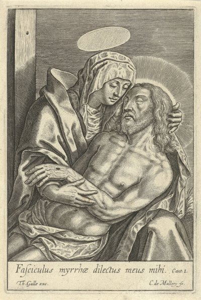 Pietà von Karel van Mallery