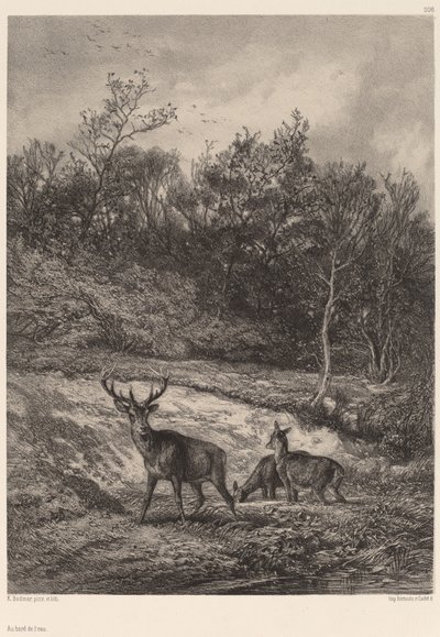 Am Wasser von Karl Bodmer