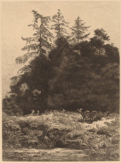 Hirsche in einem Park von Karl Bodmer