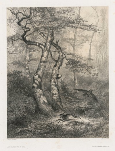 Hase von einem Habicht verfolgt von Karl Bodmer