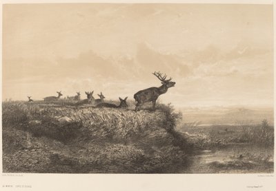 Der Morgen von Karl Bodmer