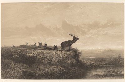 Der Morgen. Hirsch und Rehe von Karl Bodmer