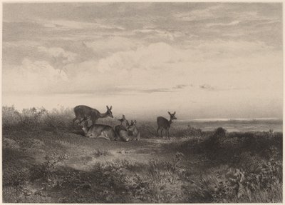 Les biches. von Karl Bodmer