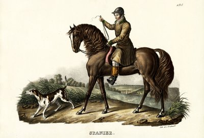 Spanisches Jagdpferd, 1824 von Karl Joseph Brodtmann