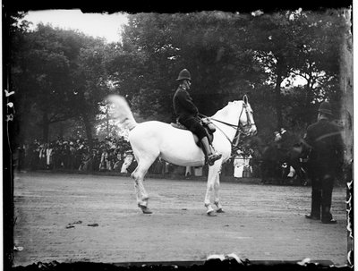 Hyde Park, City Of Westminster, London von Katherine Jean Macfee