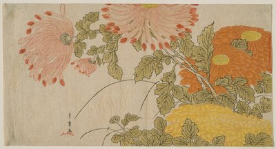 Chrysanthemen von Katsukawa Shunsho