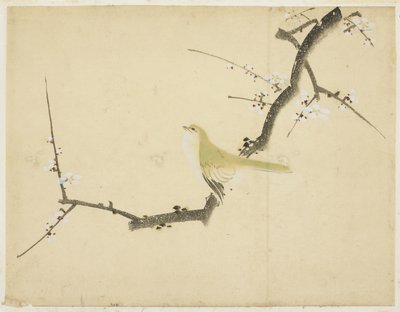 Nachtigall auf einem Pflaumenzweig von Katsushika (school of) Hokusai