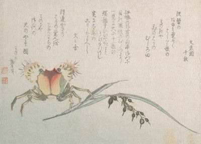 Krabbe und Reis Pflanze, 19. Jahrhundert von Katsushika Hokusai