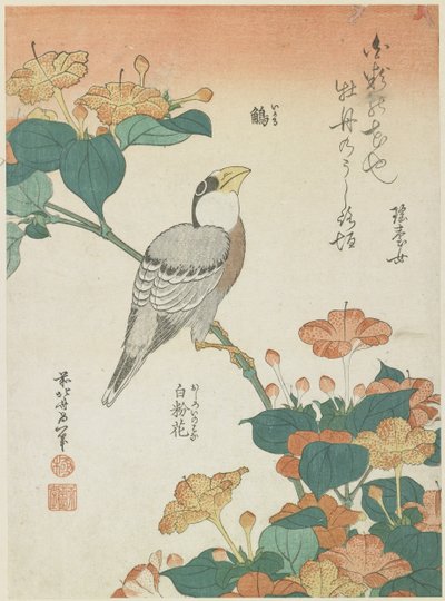 Japanischer Grosbeak und Vier-Uhr-Blumen (ca. 1833) von Katsushika Hokusai