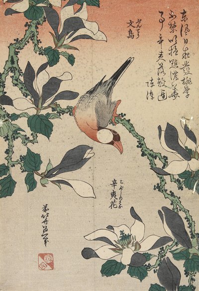 Java-Sperling und Magnolie, ca. 1832 von Katsushika Hokusai