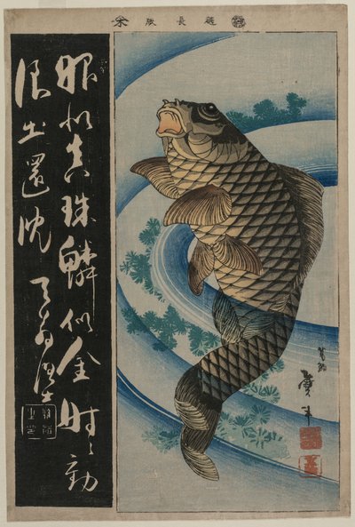 Karpfen und Wasserpflanzen von Katsushika Taito II